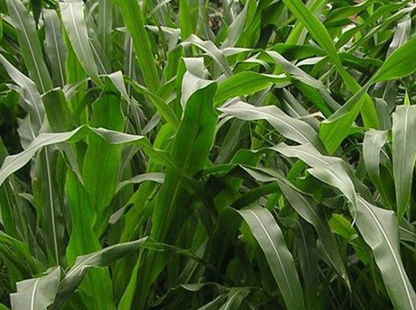 1627039073316892.jpg image.jpg