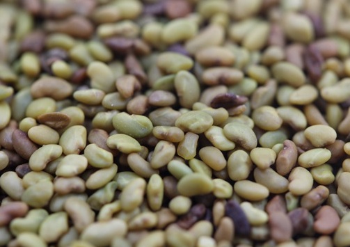 1627039694451839.jpg image.jpg