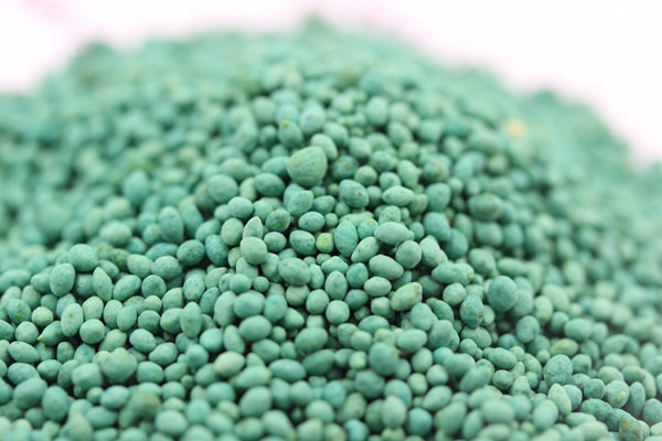 七月份適合種什么草籽