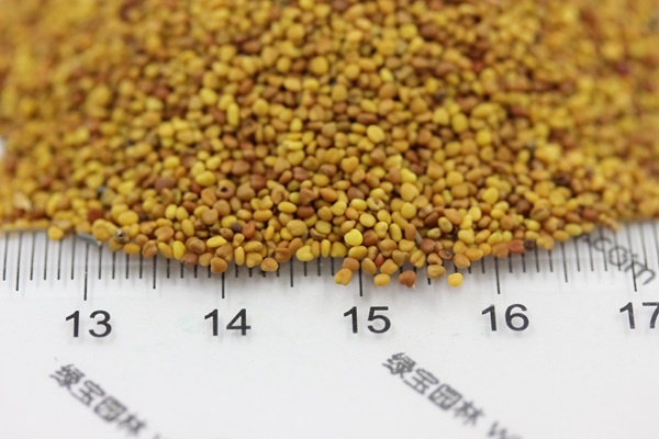 白三葉草種子種植方法 白三葉草種子種植方法