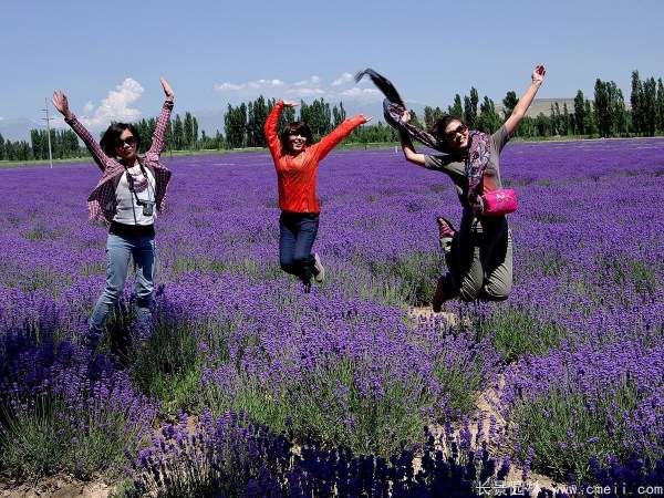 1627220359433214.jpg image.jpg