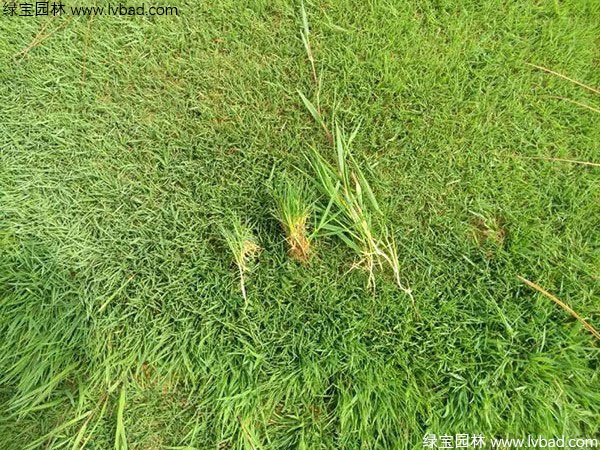 1627222556174719.jpg image.jpg