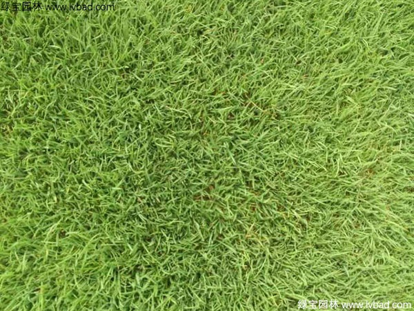 1627222572451563.jpg image.jpg