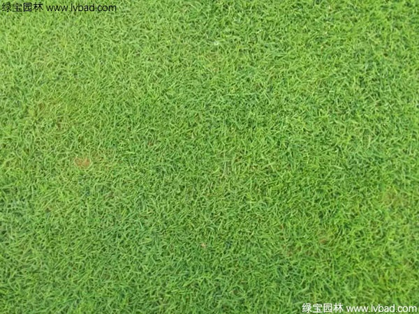 1627222582527673.jpg image.jpg