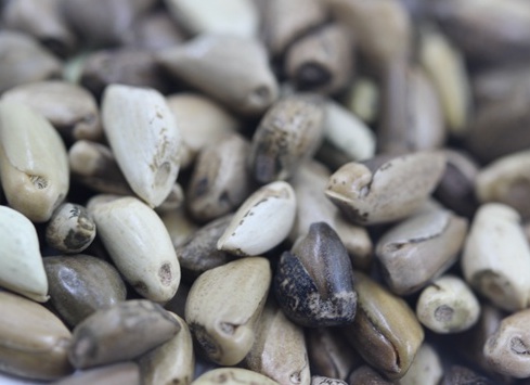 1627274433290110.jpg image.jpg