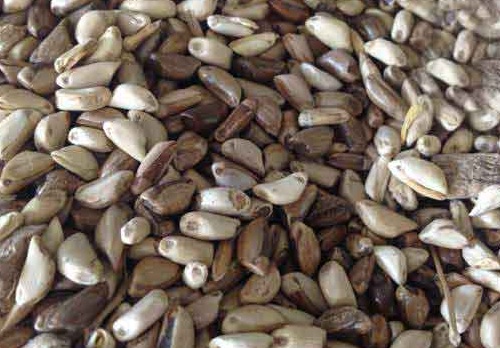 1627275016607811.jpg image.jpg