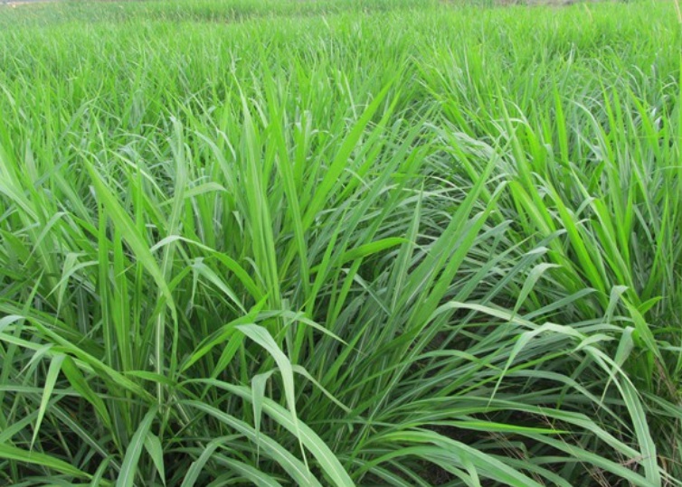 1627292158668203.jpg 哈哈哈哈哈哈哈.jpg