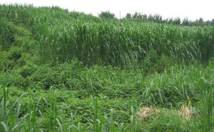 1627292201999942.jpg 333.jpg