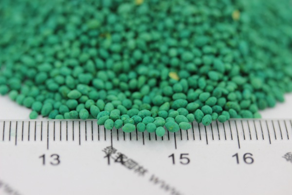 1627363386625257.jpg image.jpg