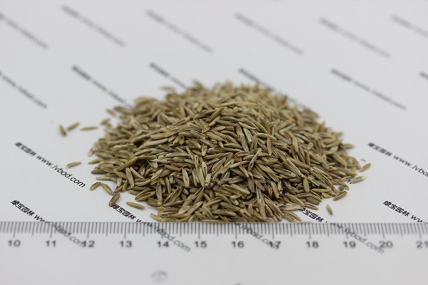 1627363541431960.jpg image.jpg