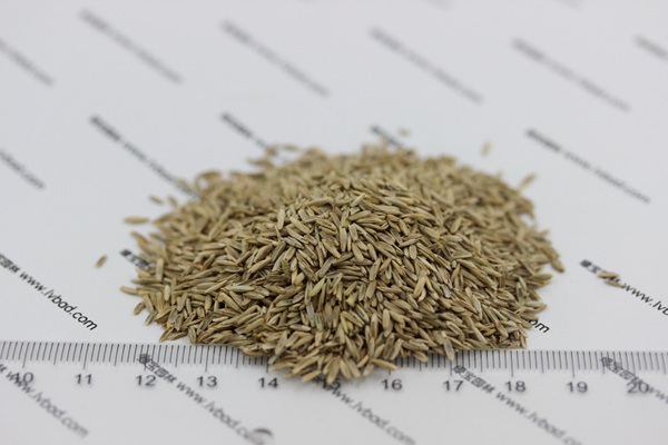 1627365872146837.jpg image.jpg