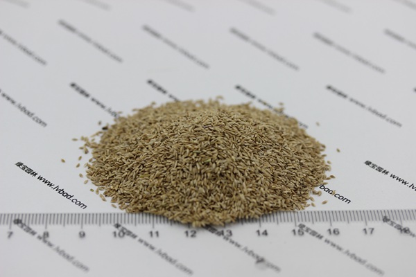 1627366602454995.jpg image.jpg