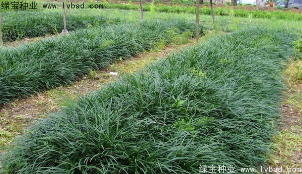 1627367073245054.jpg image.jpg