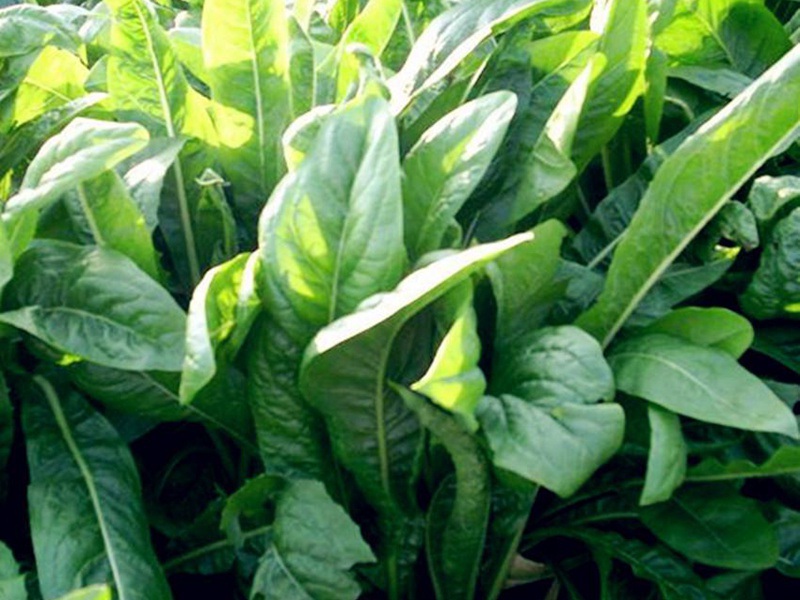 1627370143456508.jpg image.jpg