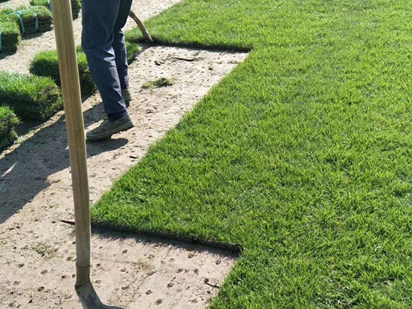 1627373577851814.jpg image.jpg