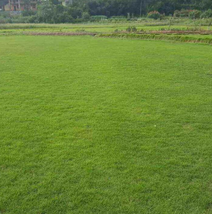 1627374878475630.jpg 1627374878475630.jpg