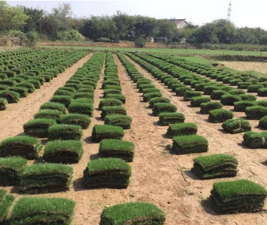 1627374899579014.jpg 1627374899579014.jpg