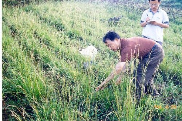 1627375221469468.jpg image.jpg