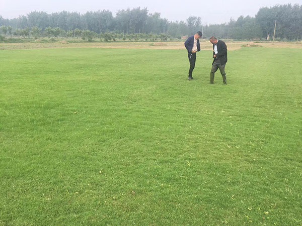 1627376135264346.jpg image.jpg