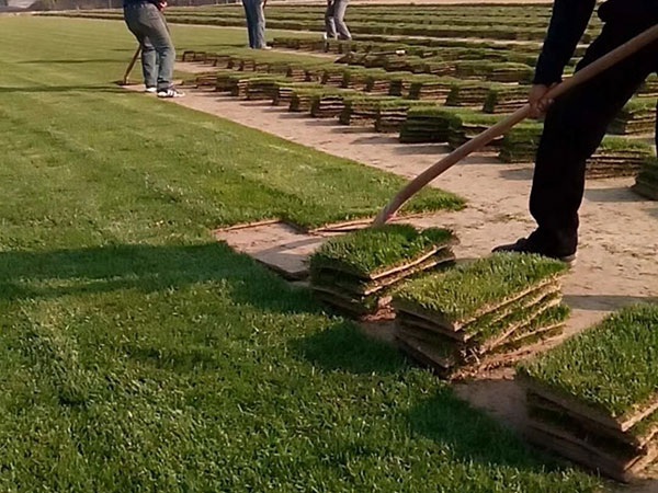 1627377050444344.jpg image.jpg