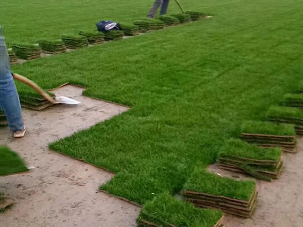 1627377056630537.jpg image.jpg