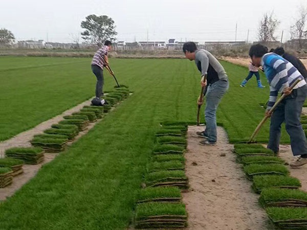 1627377116324687.jpg image.jpg