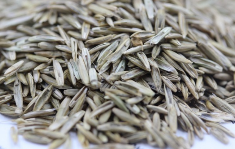 1627403286579934.jpg 3.jpg