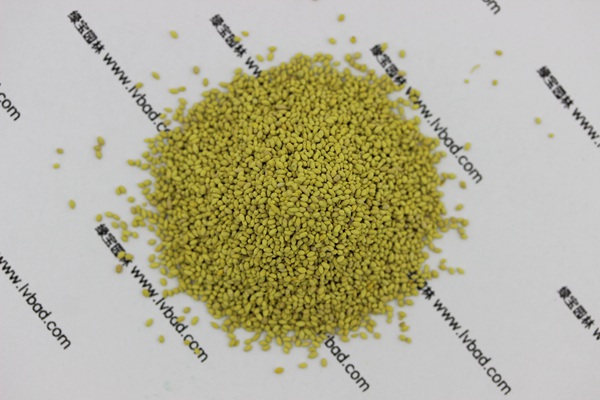 果嶺草種子 果嶺草種子