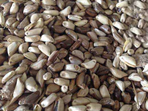 1627520147798650.jpg image.jpg