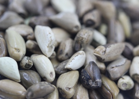 1627522829288668.jpg image.jpg