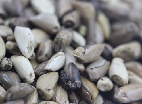 1627523060988220.jpg image.jpg