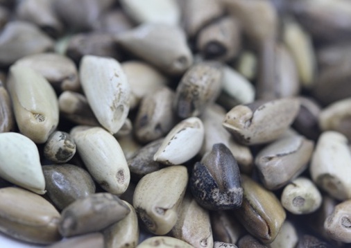 1627527464300643.jpg image.jpg