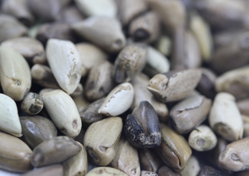 1627527544450420.jpg image.jpg