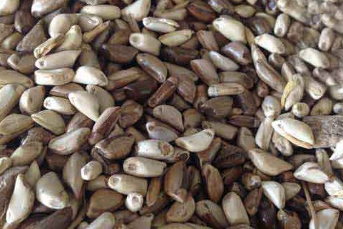 1627529581912700.jpg image.jpg