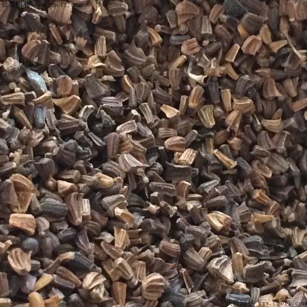 艾草種子圖片 艾草種子圖片