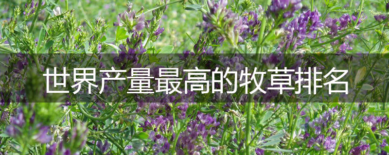 世界產(chǎn)量最高的牧草排名 世界產(chǎn)量最高的牧草排名