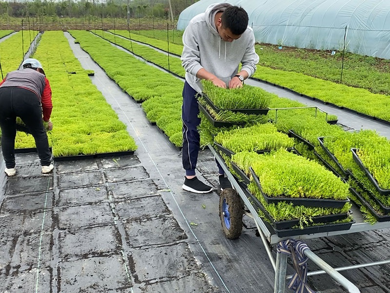 1627612975141297.jpg image.jpg