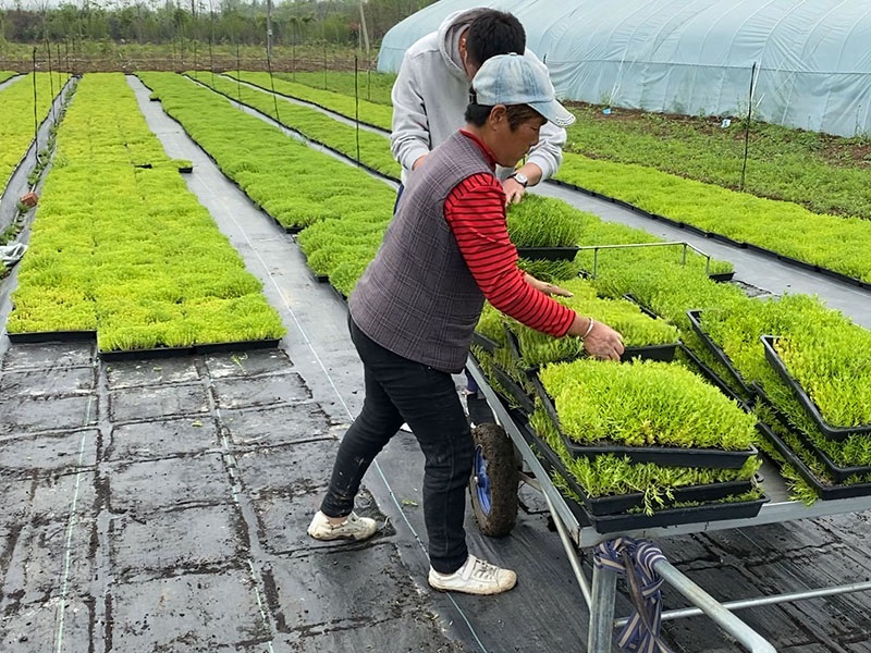 1627612983900469.jpg image.jpg