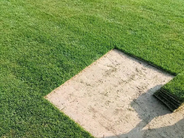 1627699020377567.jpg image.jpg