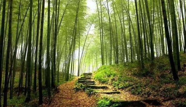 1627820645489872.jpg image.jpg