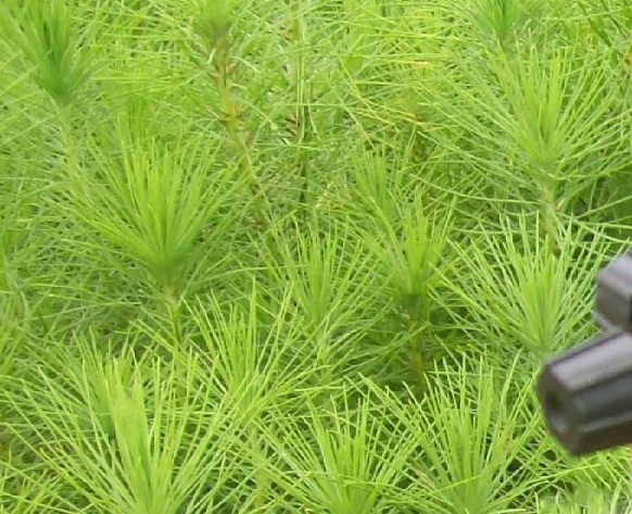 1627821039211445.jpg image.jpg