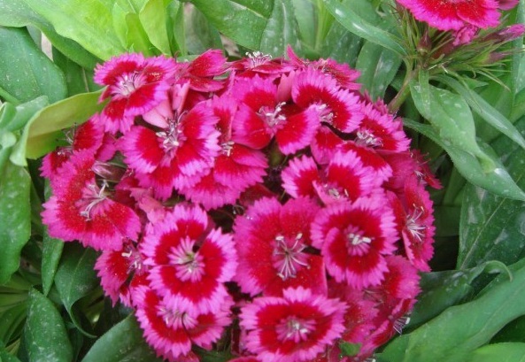 1627821214805974.jpg image.jpg