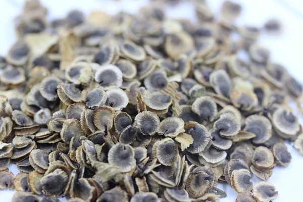 1627823113658861.jpg image.jpg