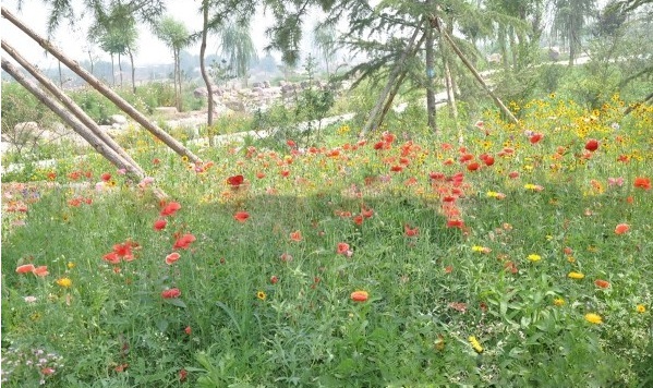 1627823545541650.jpg image.jpg