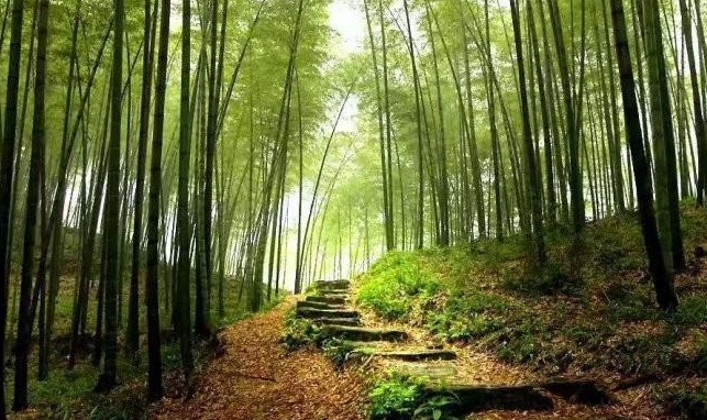 1627823689423951.jpg image.jpg