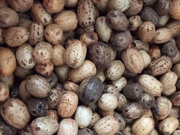 1627824806784702.jpg image.jpg