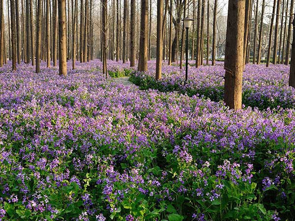 1627825131547454.jpg image.jpg