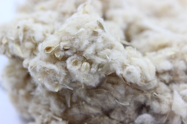 1627825471324068.jpg image.jpg