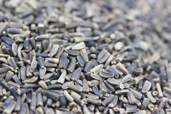 1627826027520653.jpg image.jpg