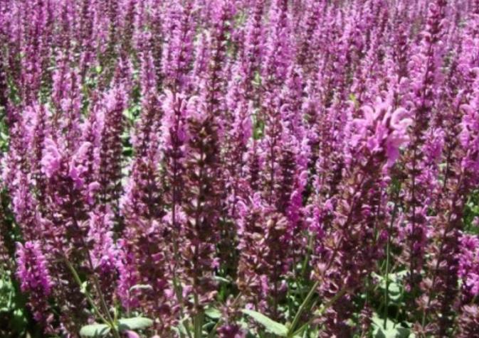 1627833070710189.jpg 360截圖20210801231729403.jpg